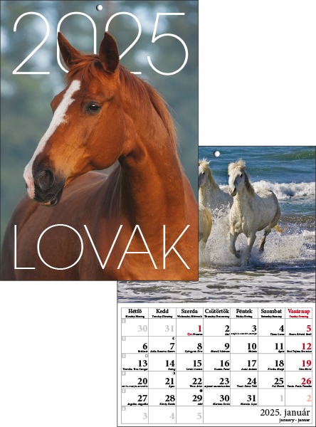 Falinaptár A/4 tűzött T-Calendar "Lovak"