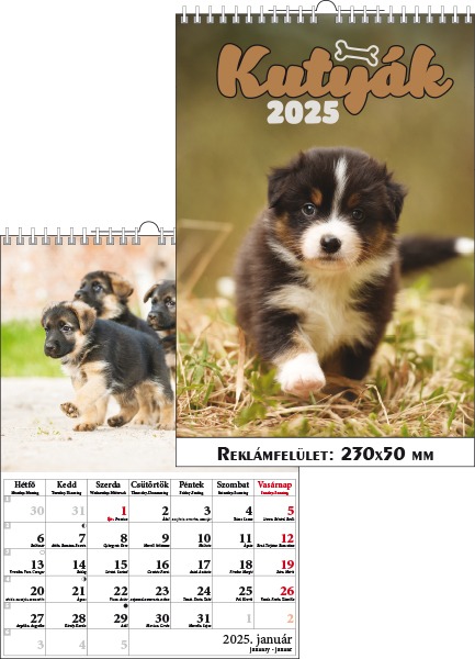 Falinaptár 23x33 cm spirálozott T-Calendar "Kutyák"