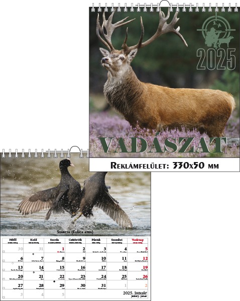 Falinaptár 33x33 cm spirálozott T-Calendar "Vadászat"