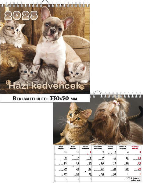 Falinaptár 33x33 cm spirálozott T-Calendar "Házi kedvencek"