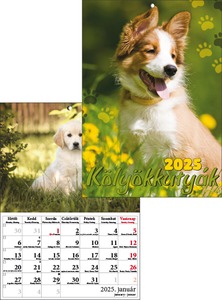 Falinaptár A/4 tűzött T-Calendar "Kölyökkutyák"