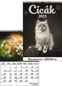 Falinaptár 23x33 cm spirálozott T-Calendar "Cicák"